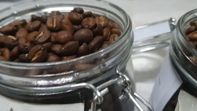 Coffee Beans | Kultur Jaringan Kopi | December 2020 смотреть онлайн
