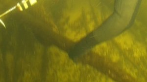 Подводные просторы России №3 Апрель в Волгограде. Поиски рыбы в весенней Волге. Налим. Карась. Щука