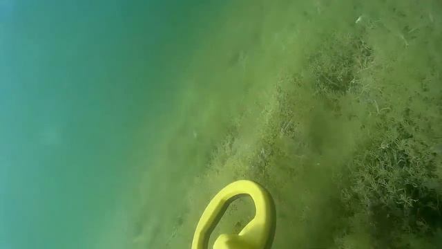 Система Хука L Первое погружение L PULSEDIVE™ SCUBA DETECTOR & POINTER