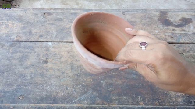 How to propagate rhoeo or boat lily from cutting смотреть онлайн