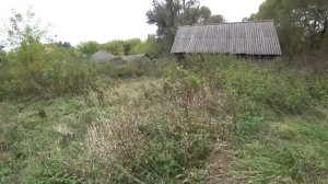 Десятки брошенных домов. Заброшенная деревня Тамбовской области.