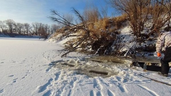 Охота на бобра зимой/ловим бобра подо льдом