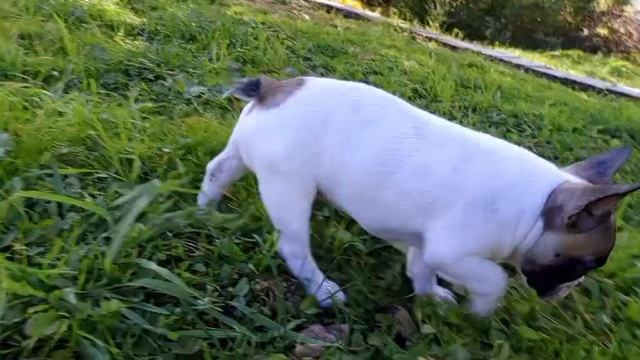 Video-19bcc8a391dcb2bf97bdaef841e9750a-V.mp4