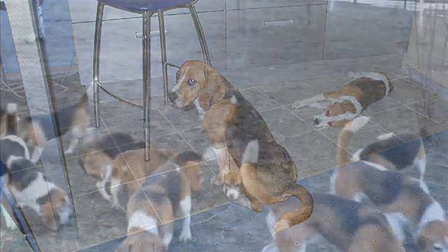 Бигли 02 смотреть онлайн