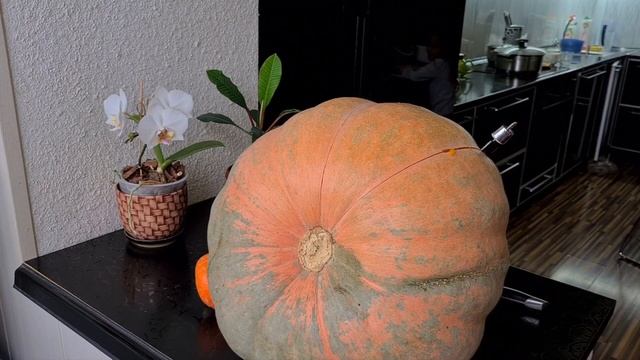 Как я сломала нож разрезая тыкву смотреть онлайн