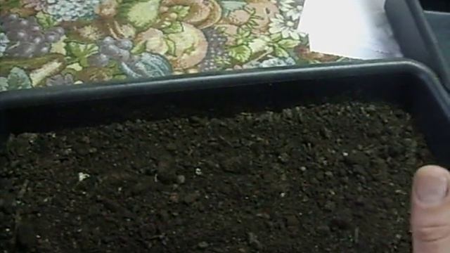 Стройка с Вами