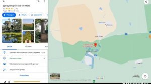 Нашол мультяшного кота на гугл картах!😨