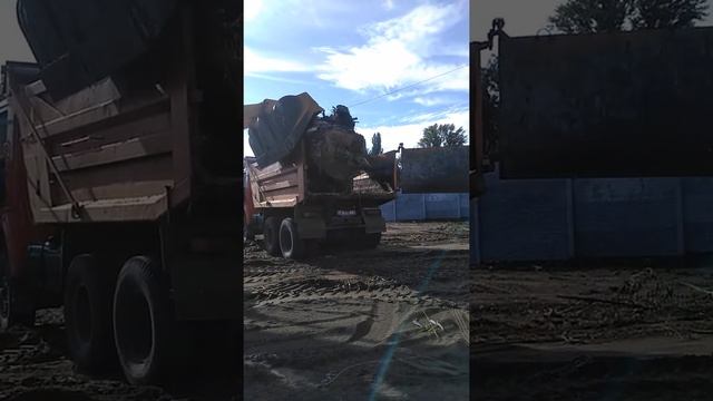 JCB и SHANTUI погрузка корня смотреть онлайн