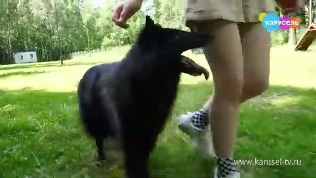 На нашей площадке УДП Рублевка смотреть онлайн