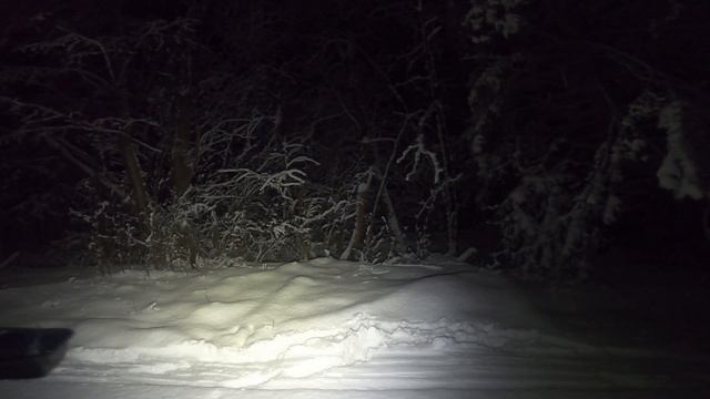 С волокушами в лес. Январь смотреть онлайн