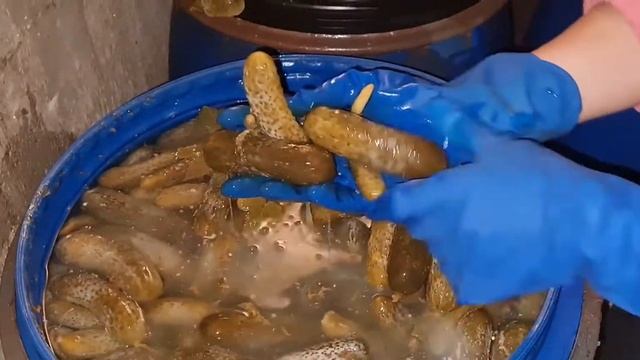 Огурцы бочковые Луховицкие смотреть онлайн