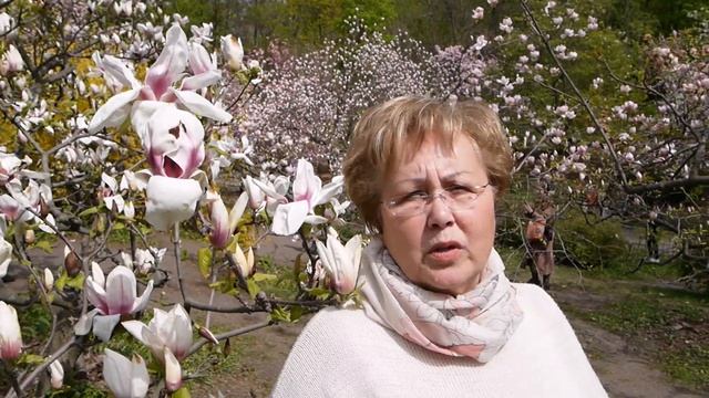ЦВЕТУТ САМЫЕ ДРЕВНИЕ РАСТЕНИЯ НА ЗЕМЛЕ - МАГНОЛИИ .Звонок с того света . смотреть онлайн