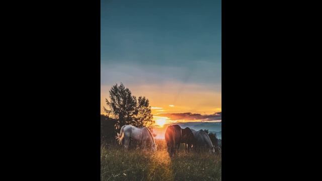 Моё детство - Красный конь (Саше Бондаренко) смотреть онлайн