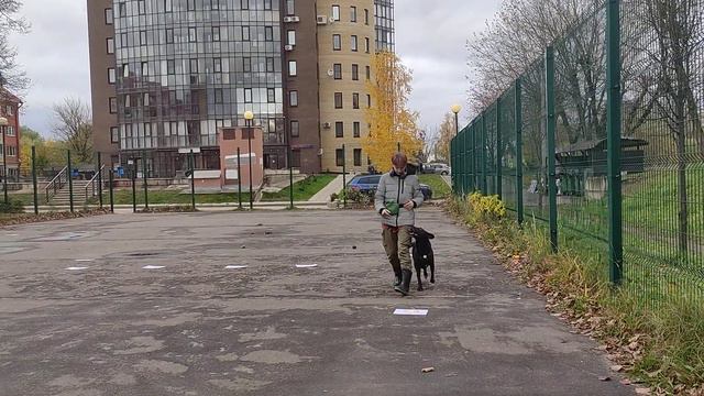 класс knock knock Жукова Анастасия, собака Джек Rally-Boo! challenge смотреть онлайн