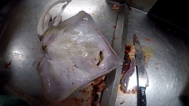 ПРИКОЛЫ НА РЫБАЛКЕ / РЫБА СМЕЕТСЯ / СКАТ смотреть онлайн