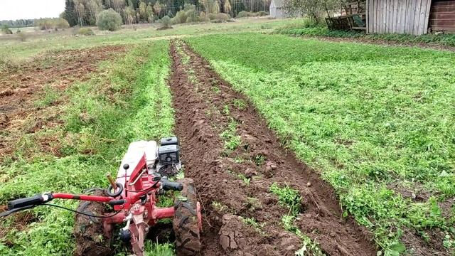 ✅Мотоблок МТЗ Вспашка плугом смотреть онлайн