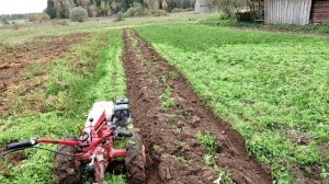 ✅Мотоблок МТЗ Вспашка плугом