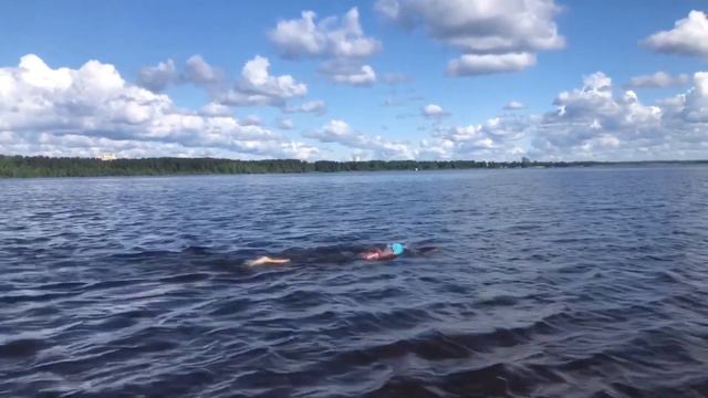 Традиционный тренировочный заплыв от Grand Swim 03.06.2023 смотреть онлайн