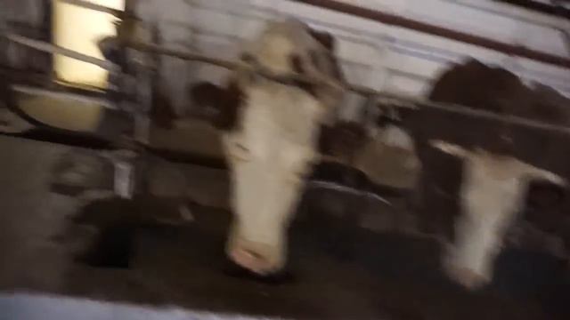 Совещание в СПК Денисовский смотреть онлайн