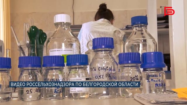 В Черноземье за 8 месяцев провели около 1 миллиона ветеринарных и фитосанитарных исследований смотреть онлайн