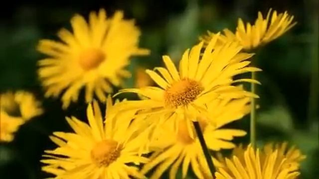 Дочь хочет красиво жить за наш с мужем счет. Перекрыли ей финансирование. Реальные истории из жизни смотреть онлайн