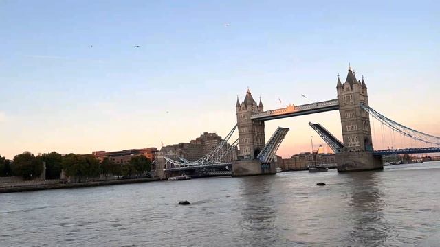 Hop On Hop off Bus || Big Ben || Tower Bridge || London Eye смотреть онлайн