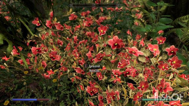 SKYRIM mods 2023..So I also tried to put mods in skyrim.Soundtrack: Jeremy Soule - Solitude смотреть онлайн