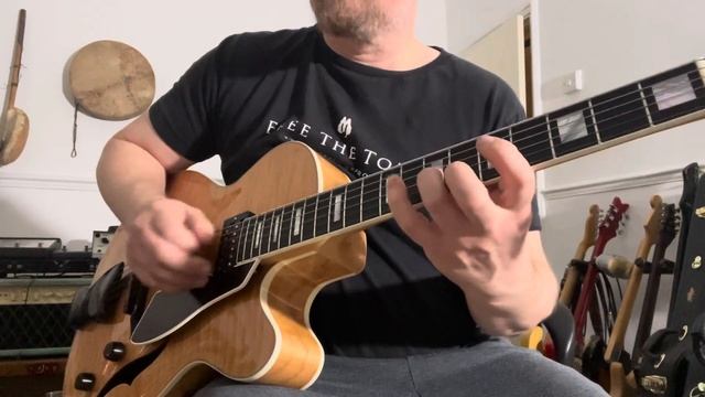 Misty on a Fender D’aquisto Deluxe смотреть онлайн