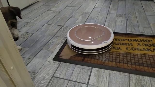 Робот пылесос iLife V50 Pro заезжает на ковёр смотреть онлайн
