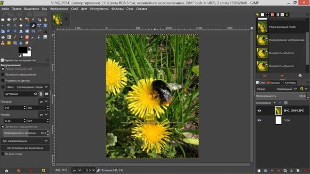 15. Gimp. Шаг за шагом. Кадрирование. смотреть онлайн