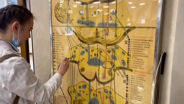 учеба на первом курсе в меде смотреть онлайн