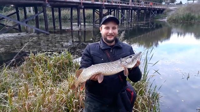 Здесь нет рыбы?! Что можно поймать в городе? смотреть онлайн