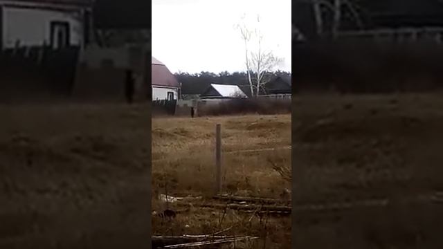 2020 год 3 апреля дети курят в кустах. а и ха мать утверждает что её дети не курят, смотреть онлайн