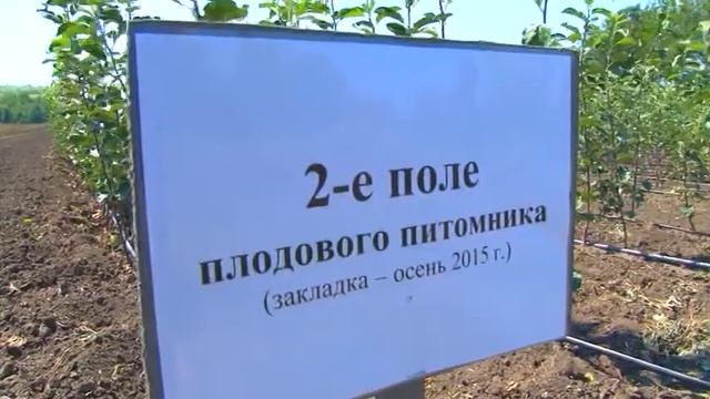 Опытная станция садоводства в Багаевке провела День открытых дверей смотреть онлайн