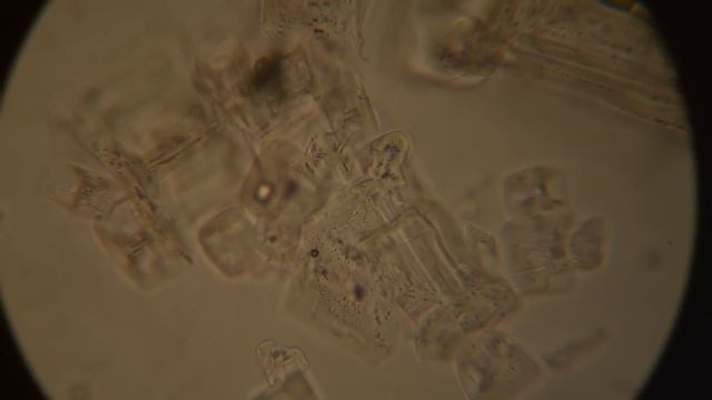 ЧЕЛЛЕНДЖ С УЧИТЕЛЕМ / ВЫПОЛНЯЕМ ЗАДАНИЯ ОТ БЛОГЕРОВ смотреть онлайн