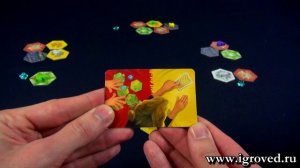 Новые римляне. Обзор настольной игры от Игроведа