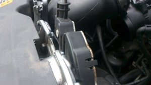 Проблема с EGR Форд Фокус/EGR problem Ford Focus