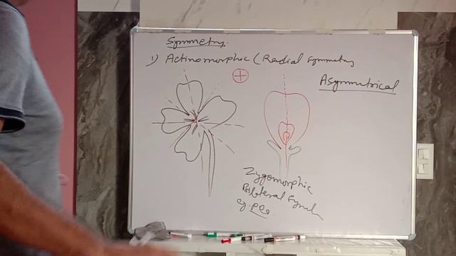 The Flower смотреть онлайн