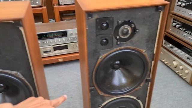 Loa Celestion Ditton 25 Anh Quốc Nòi . Chất Âm lừng danh _ Bass 30 trung Xoáy Trble Dom ?? смотреть онлайн