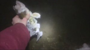 ТОП 6 БЮДЖЕТНЫХ ВОБЛЕРА на СУДАКА ночью