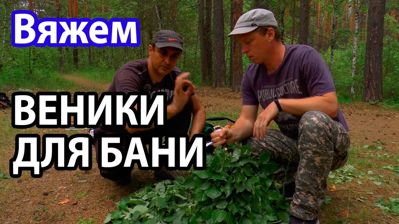 Заготовка БАННЫХ ВЕНИКОВ. Как правильно ВЯЗАТЬ, СУШИТЬ И ХРАНИТЬ ВЕНИКИ ДЛЯ БАНИ? смотреть онлайн