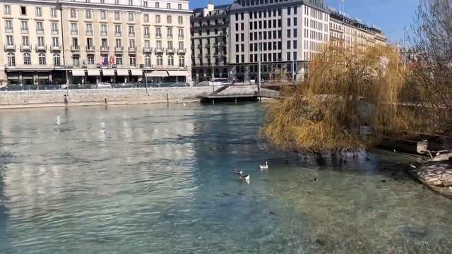 Meme l’eau est classe en Suisse смотреть онлайн