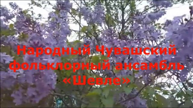 Илемлĕ сачĕсем смотреть онлайн