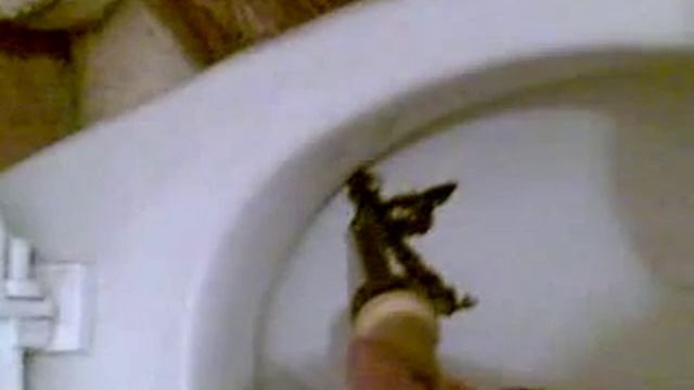 Наша "паРаша" (Клеим унитаз в домашних условиях) смотреть онлайн