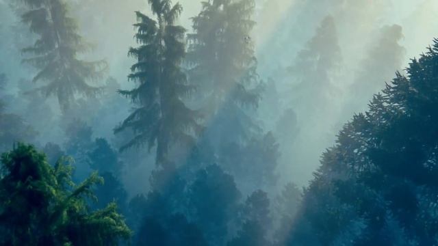 What Is Qigong? The Answer Will AMAZE You!