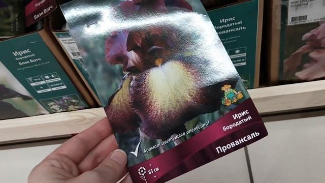 Ашан Москва. Какие саженцы можно купить в феврале 2022. Лилейники, ирисы, гладиолусы смотреть онлайн