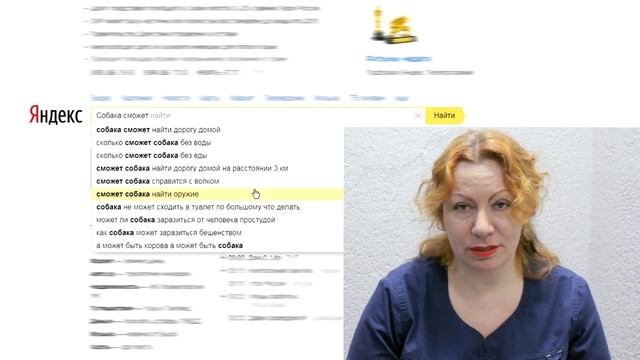 Сможет собака найти дорогу домой? Узнавайка смотреть онлайн