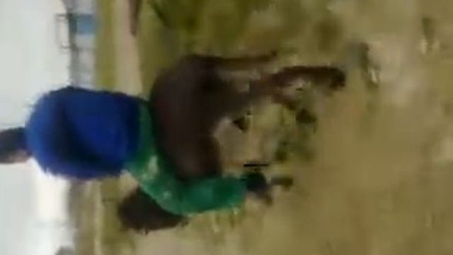 Рамазан верхом на осле смотреть онлайн