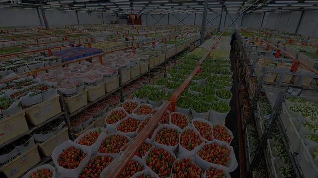 Бизнес идеи для деревни Бизнес для села и сельской местности смотреть онлайн