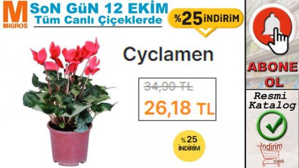 MİGROS %25 İNDİRİMLİ BİTKİ VE CANLI ÇİÇEK ÇEŞİTLERİ || MİGROSKOP || MİGROS BU HAFTA ÇEŞİTLİ ÇİÇEK